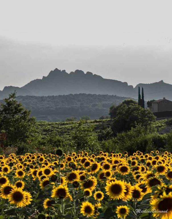 Chambres D'Hotes Aux Tournesols Malaucène Esterno foto
